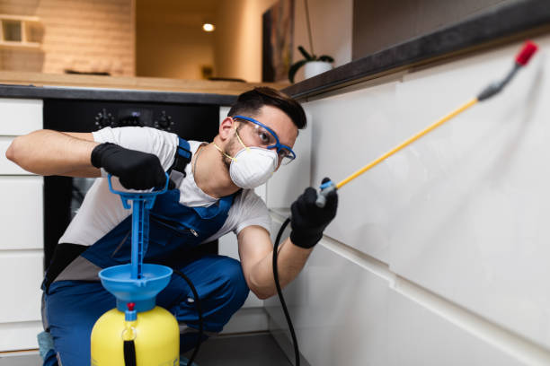 Best Best Pest Control Companies  in Laguna Vista, TX