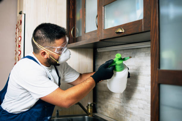 Best Pest Removal Services  in Laguna Vista, TX