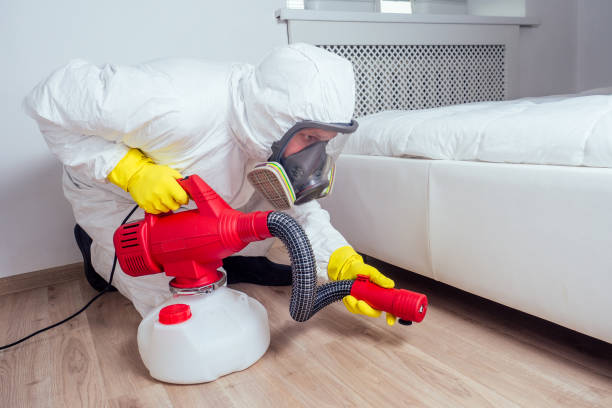 Best Pest Control for Homes  in Laguna Vista, TX