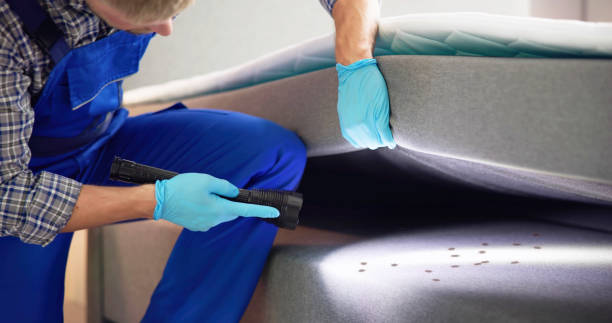 Best Pest Control for Restaurants  in Laguna Vista, TX