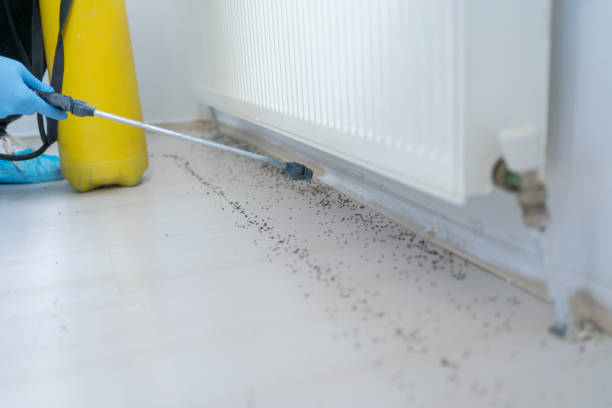 Best Cockroach Control Services  in Laguna Vista, TX