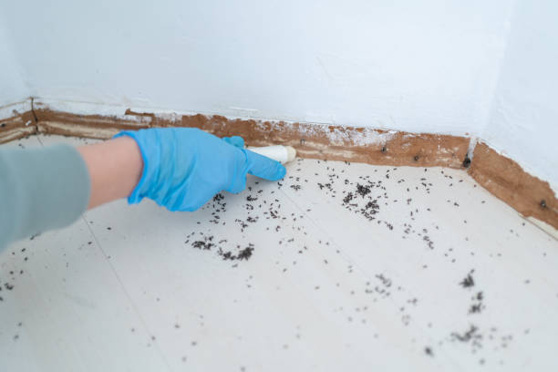 Pest Control Cost in Laguna Vista, TX