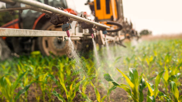 Best Pest Control Cost  in Laguna Vista, TX